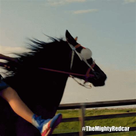 horse ride gif|Riding Horse GIFs .